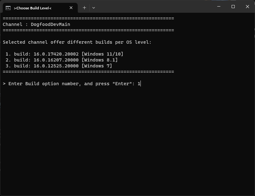 Выбор пункта 1 для Windows 11 в меню генератора