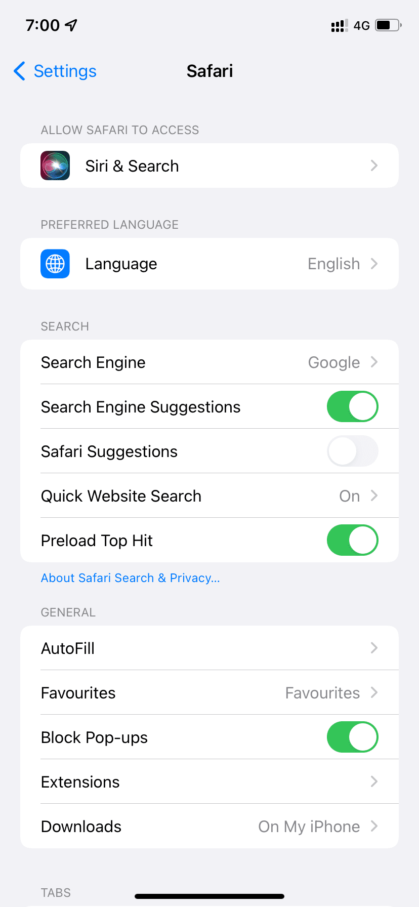 Экран настроек Safari на iPhone с выбором поисковой системы