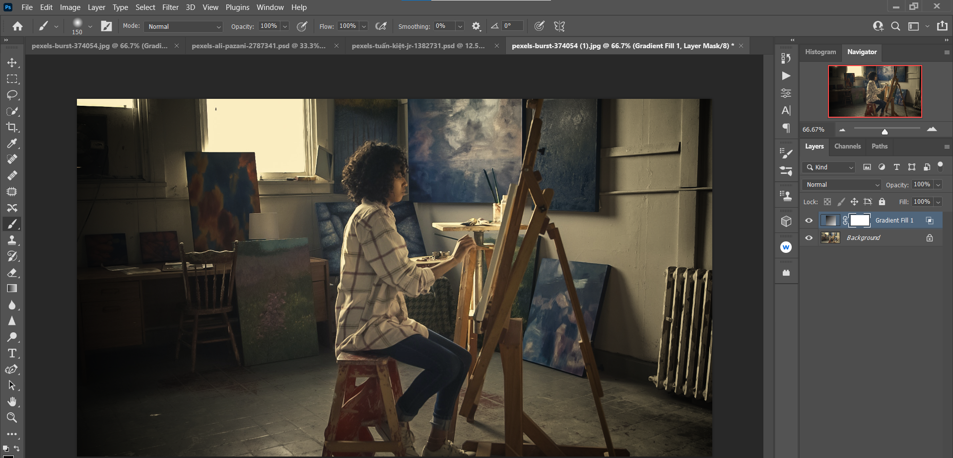 Не всё гладко — художник