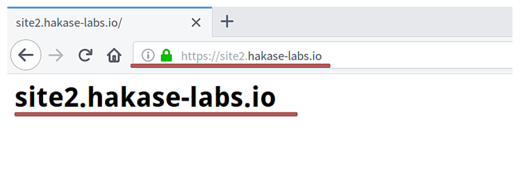 HTTPS страница site2