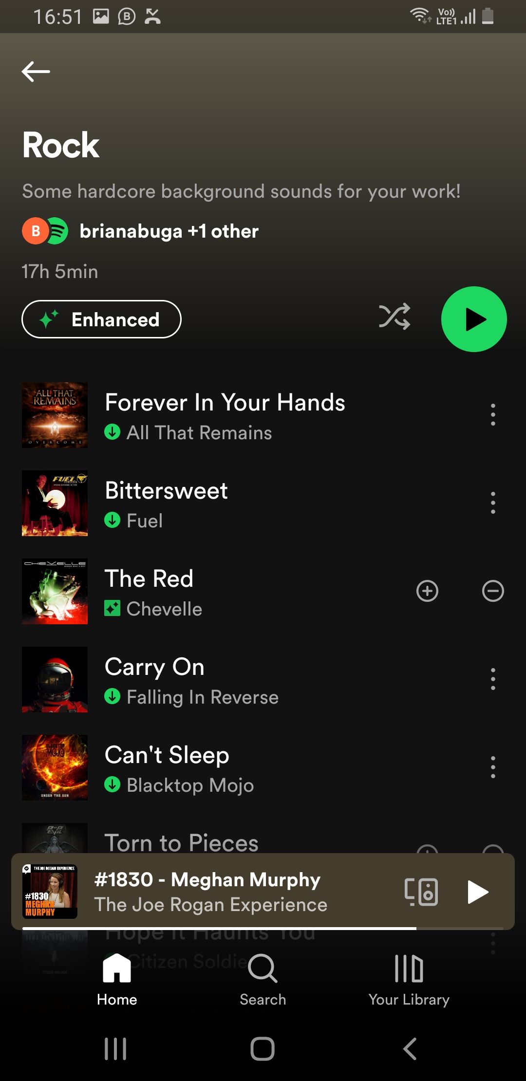 Скриншот добавления рекомендаций в плейлист