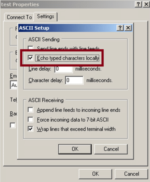 Окно ASCII-настроек: включение локального отображения вводимых символов