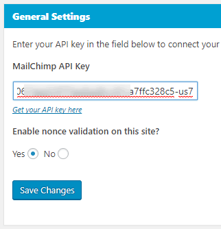 Скриншот: вставка API-ключа в настройках плагина WordPress