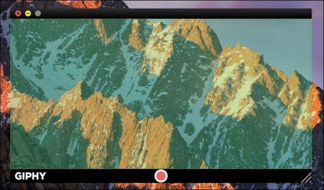 Окно GIPHY Capture с красной кнопкой записи