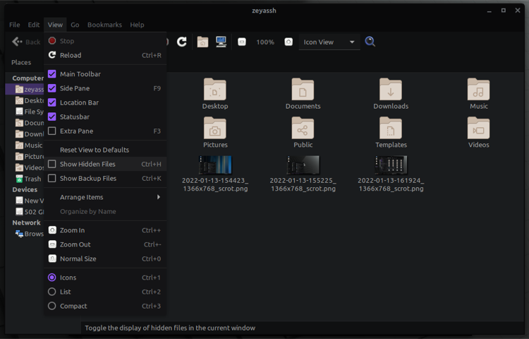 показать скрытые файлы
