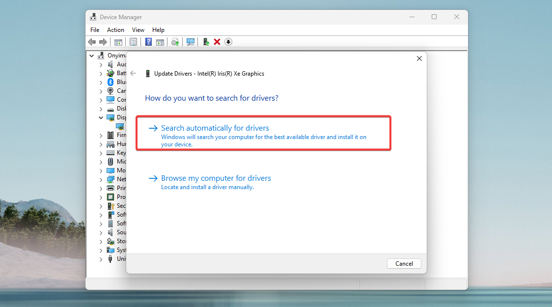 Окно выбора варианта для обновления драйвера