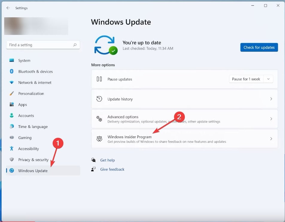 Настройки для доступа к сборкам Insider в Windows 11