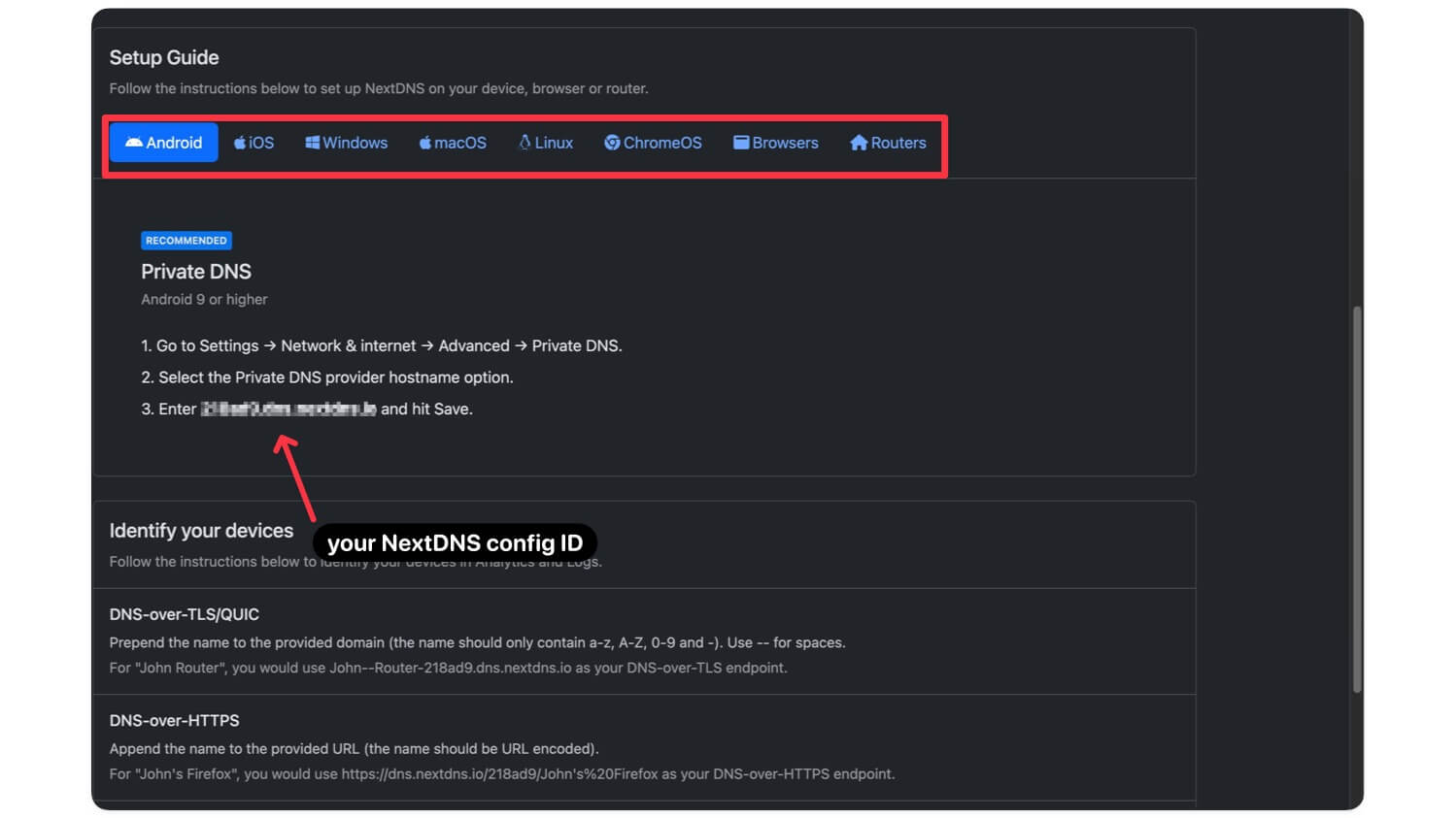 Экран с Config ID в NextDNS