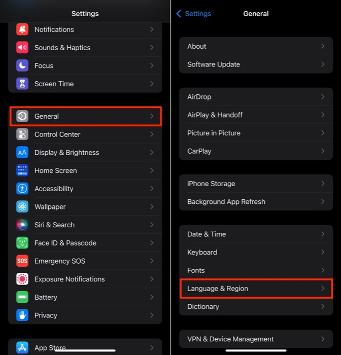Скриншот включения Live Text в настройках iOS