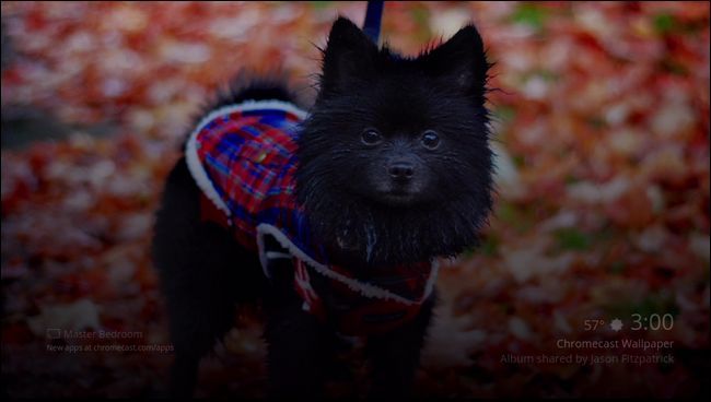 Пример личной фотографии с погодой и временем в правом нижнем углу