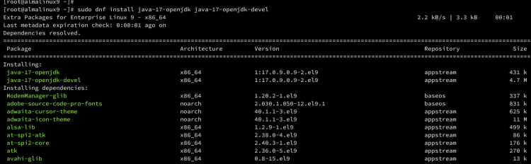 Tomcat 10 с Nginx на AlmaLinux 9