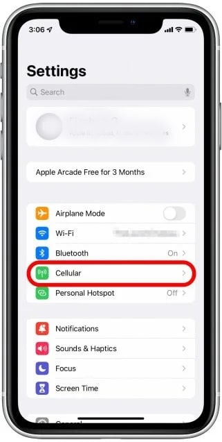 Экран iPhone: Настройки — Cellular/Mobile Data