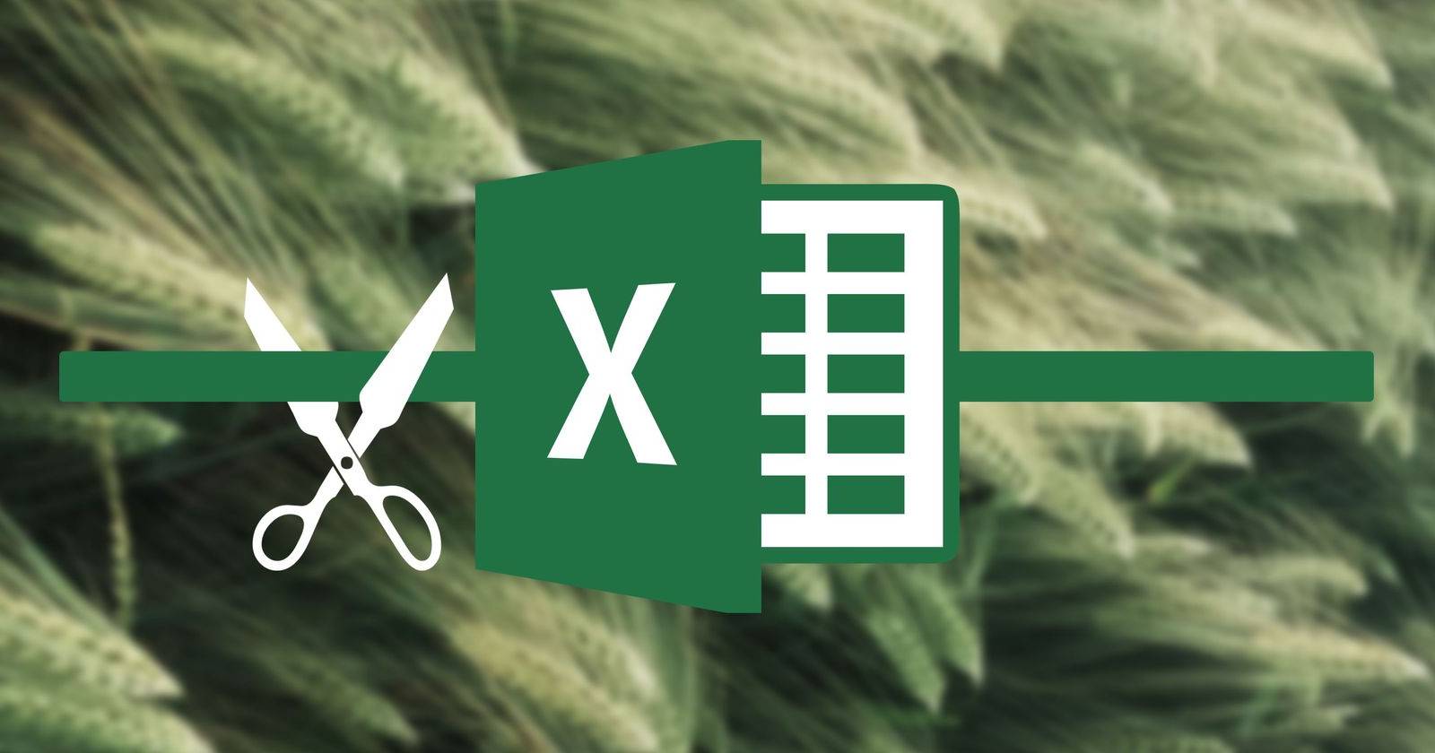 Функция TRIM в Excel, иллюстрация рабочего листа