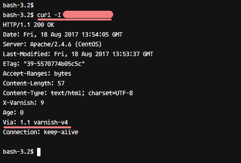 Тестирование Varnish — заголовки HTTP