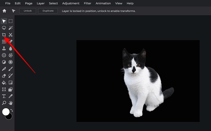 Set Custom Icons Android Crop