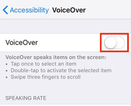 Экран настроек Универсальный доступ на iPhone
