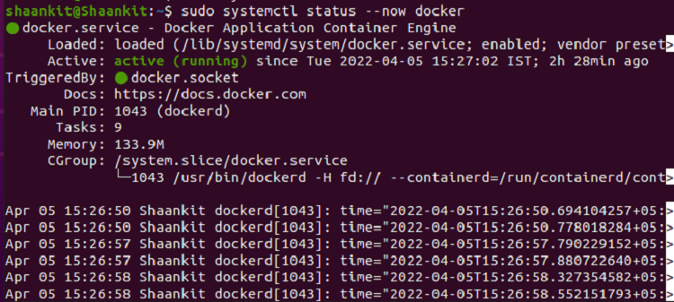Статус сервиса Docker в терминале