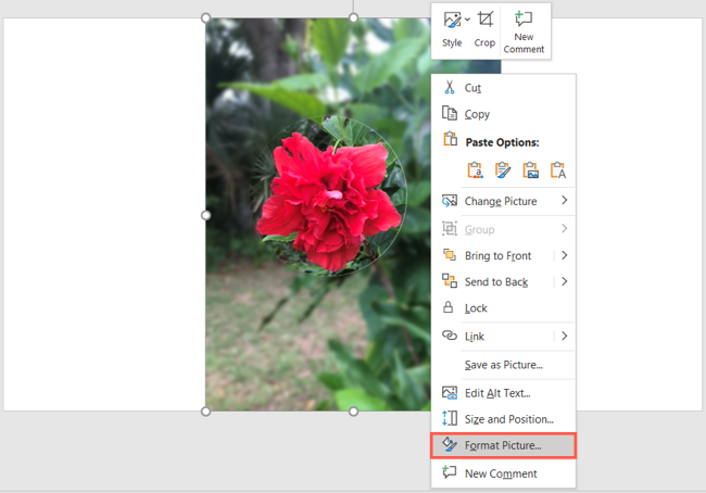 Пункт «Формат изображения» в контекстном меню