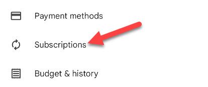 Экран раздела Подписки в приложении Play Store.