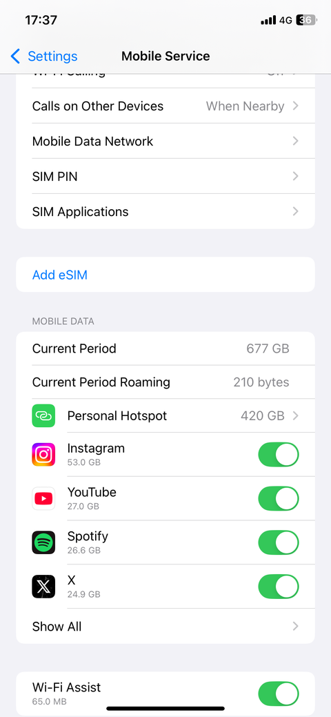 Страница настроек мобильной сети