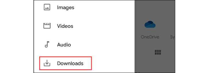 Выделена папка «Downloads» в файловом менеджере