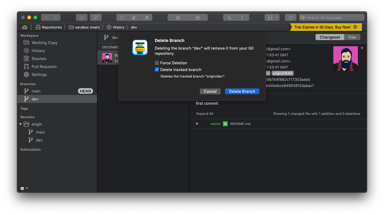 Диалог подтверждения удаления ветки в Tower