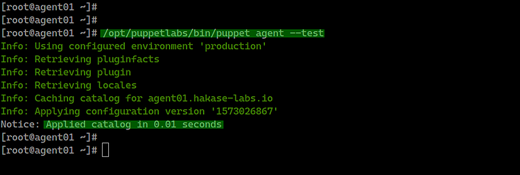 Тест puppet agent