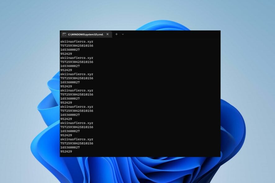 Ошибка Okiinasfierco.xyz в Командной строке — как исправить