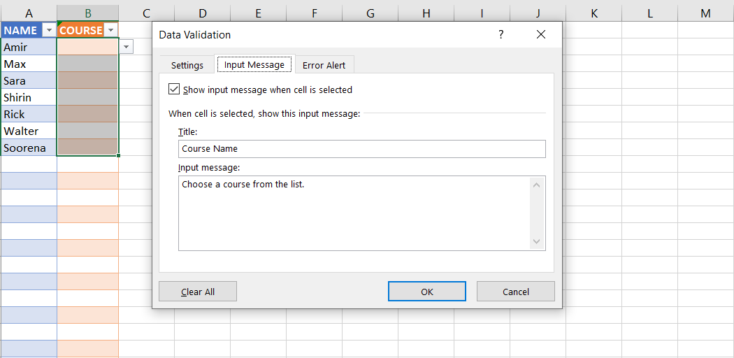 Окно ввода сообщения проверки данных
