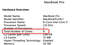 Общий подсчёт ядер в разделе аппаратных средств macOS.