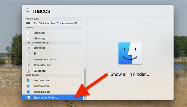 Кнопка показать все в Finder внизу результатов Spotlight