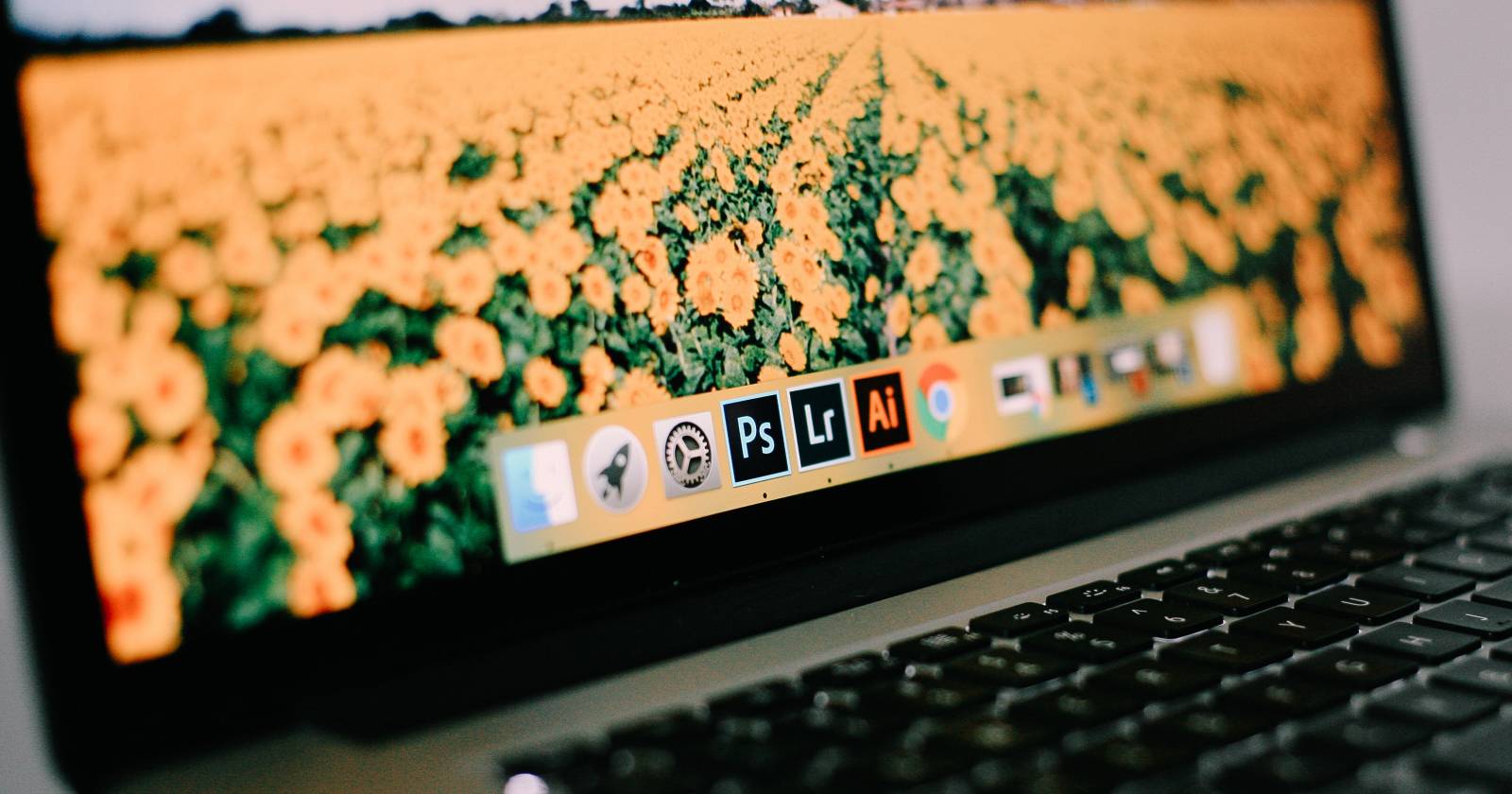 Логотип Adobe Lightroom на экране Mac