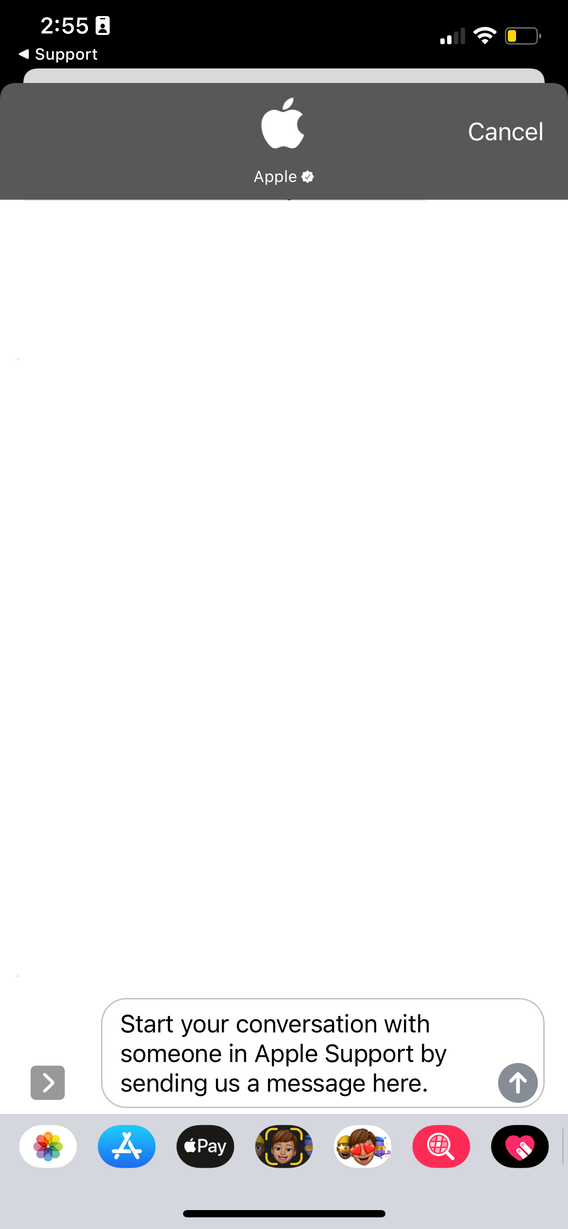 Чат с техником Apple через Сообщения