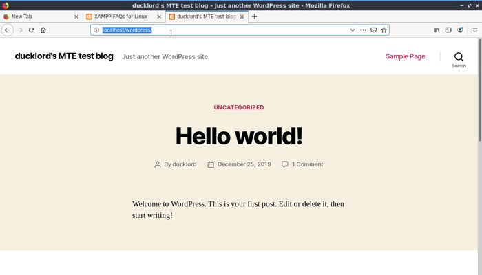 Скриншот: тест WordPress локально