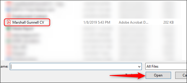 Окно выбора файла PDF