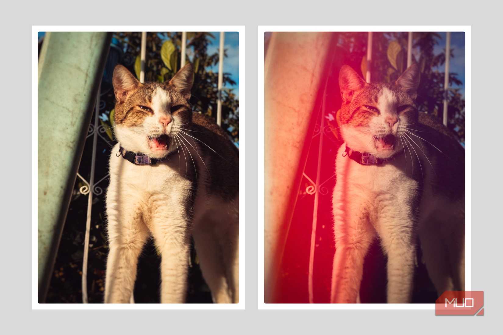 Добавление световых протечек и виньетирования на фото со смартфона