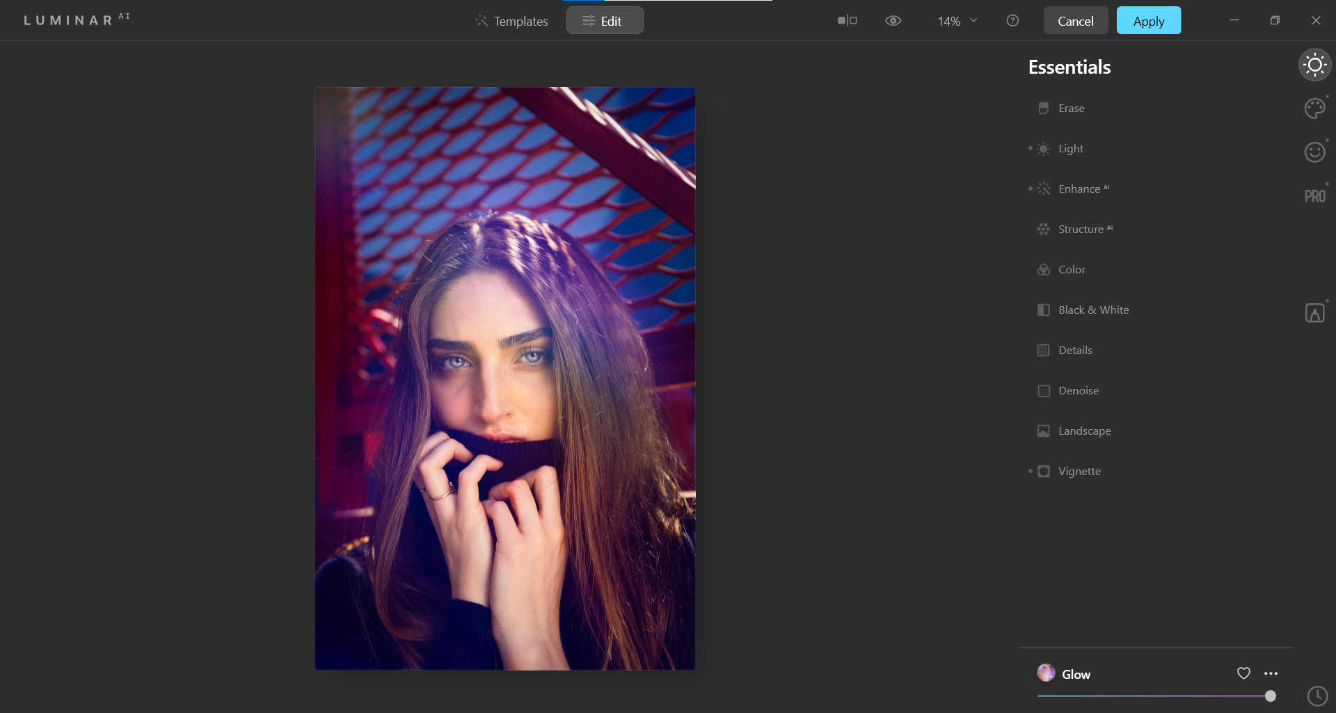 панель Essentials в Luminar AI