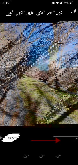 Add Photos Reels Mobile Next To Publish