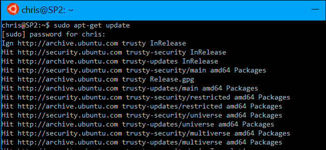 Вывод команды apt-get update с обновлением индексов пакетов