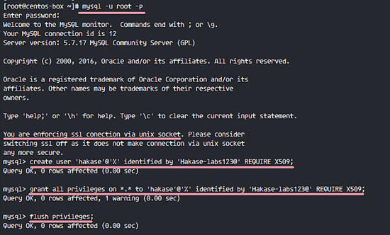 Создание пользователя для удалённого подключения MySQL