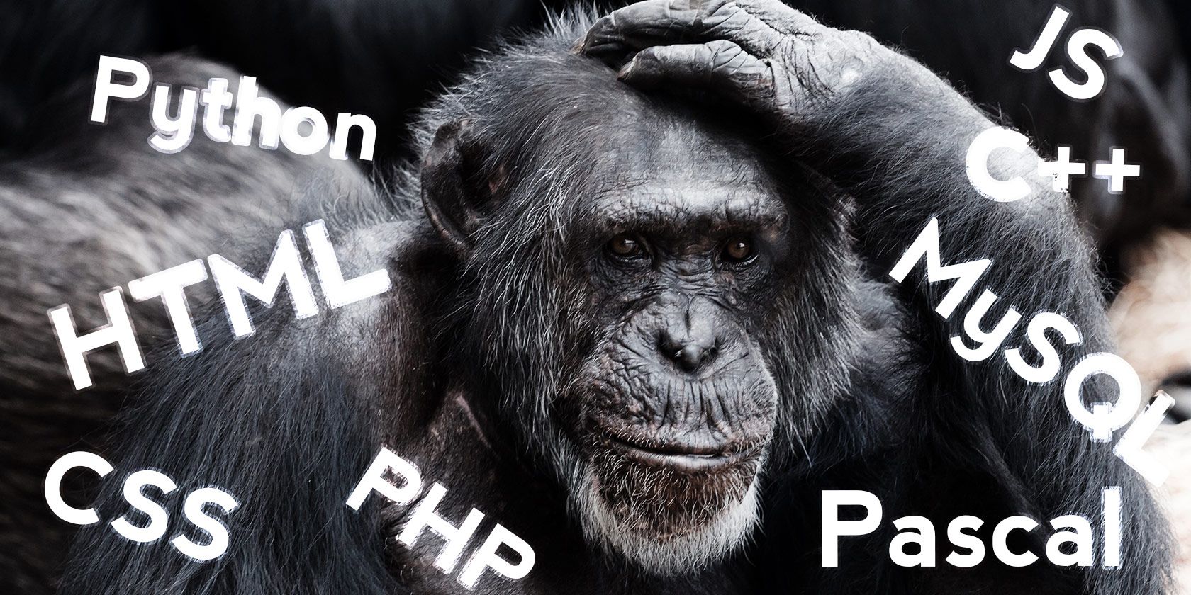 Какой язык программирования выбрать, чтобы устроиться за 2 года