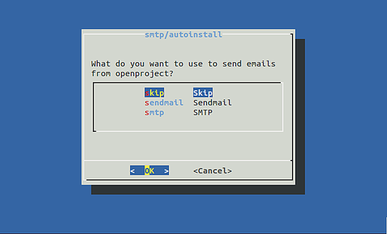 Выбор пропуска опции в мастер-настройке OpenProject
