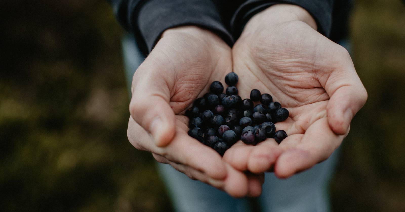 Falling Fruit — карта для сбора дикоросов