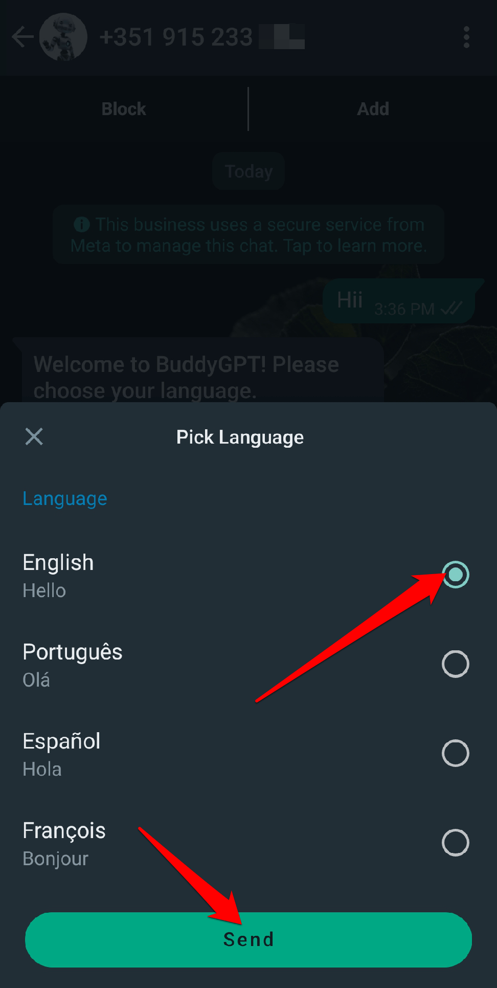 Нажмите кнопку «Send».