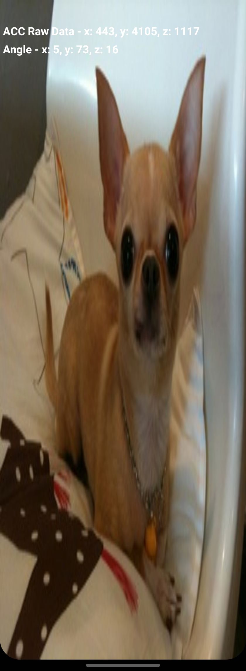 Тест акселерометра Samsung — пример экрана с предупреждением и рисунком