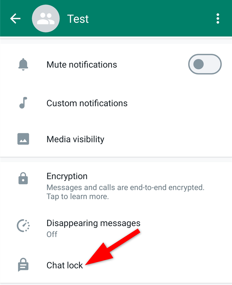 Настройки группы с опцией Chat Lock
