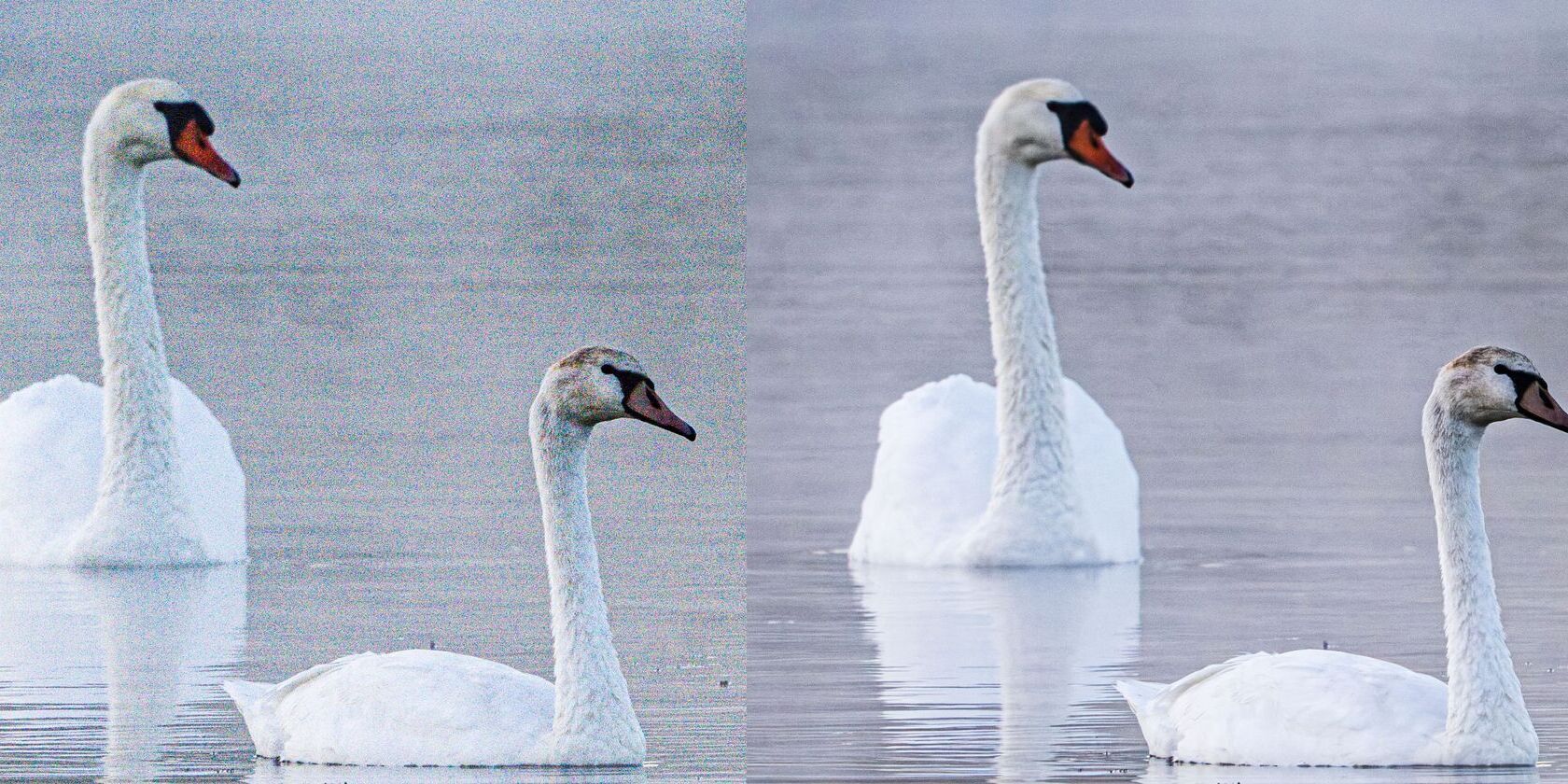 AI-инструменты Adobe Lightroom — обзор и советы