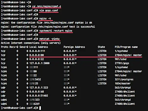 Nginx écoutant sur HTTP 80