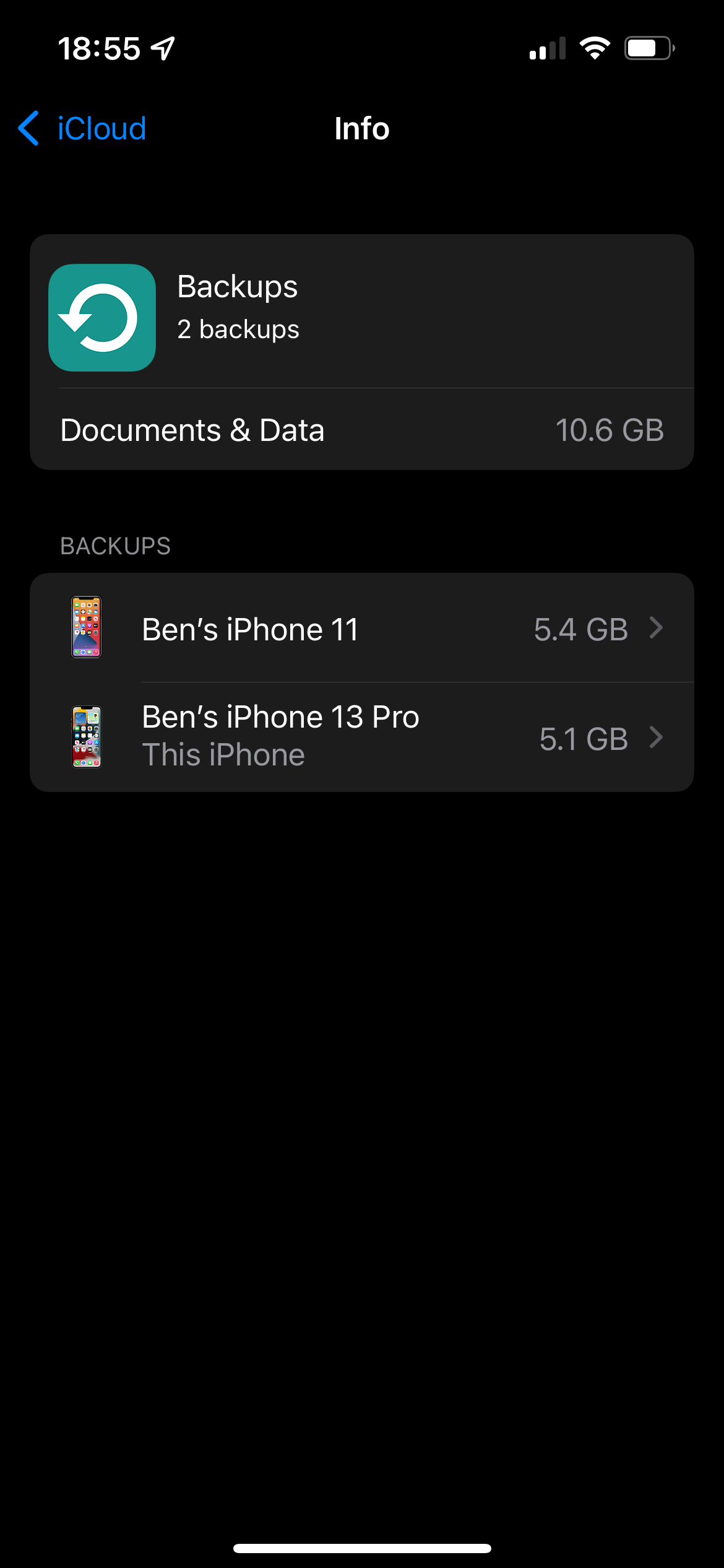 Список данных резервной копии в iCloud