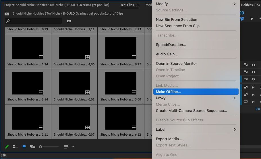 Выделение всех клипов заглушки и перевод их в оффлайн состояние